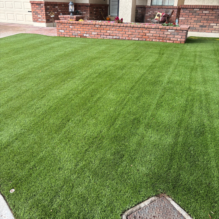 Landscaping Services in Gilbert, AZ Landscaping Services in Gilbert, AZ