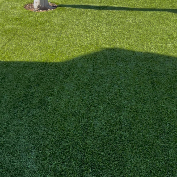 Landscaping Services in Gilbert, AZ Landscaping Services in Gilbert, AZ